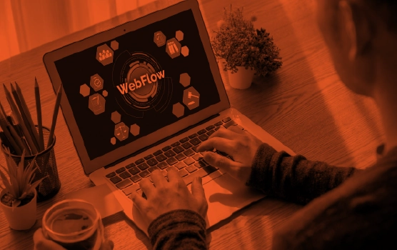 Who benefits from Webflow services – startups launch, agencies, e-commerce growth